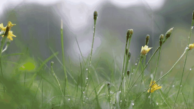 家居裝修秘籍——暴雨之后，墻面滲水怎么辦？